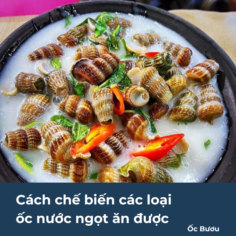 Cách chế biến các loại ốc nước ngọt ăn được