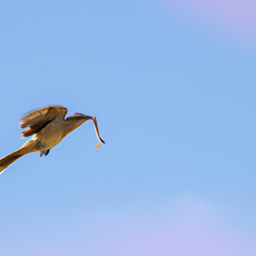 Chim ốc mít bay trên bầu trời xanh với con sâu trong mỏ.