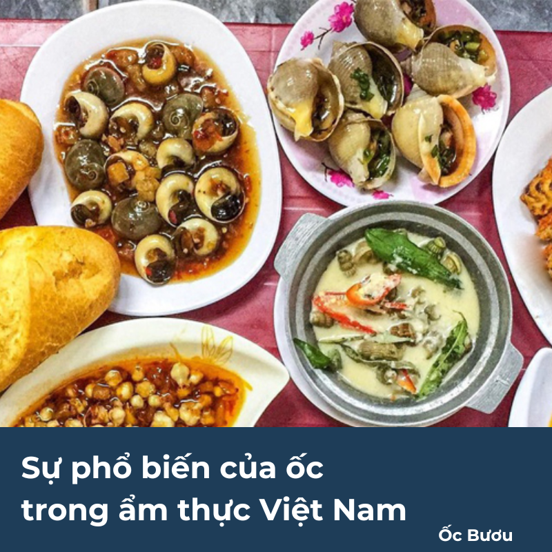 Sự phổ biến của ốc trong ẩm thực Việt Nam
