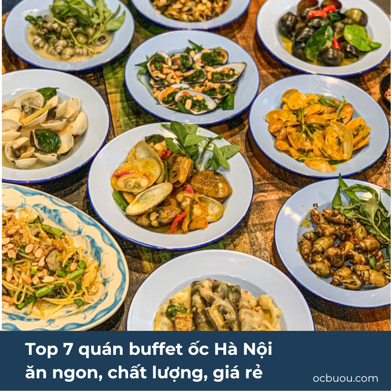 Top 7 quán buffet ốc Hà Nội ăn ngon, chất lượng, giá rẻ